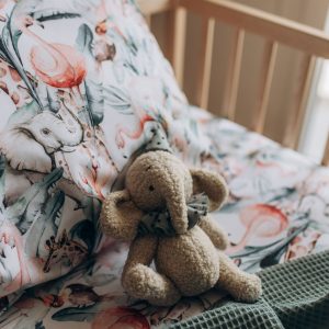 jastucnica krevetac10