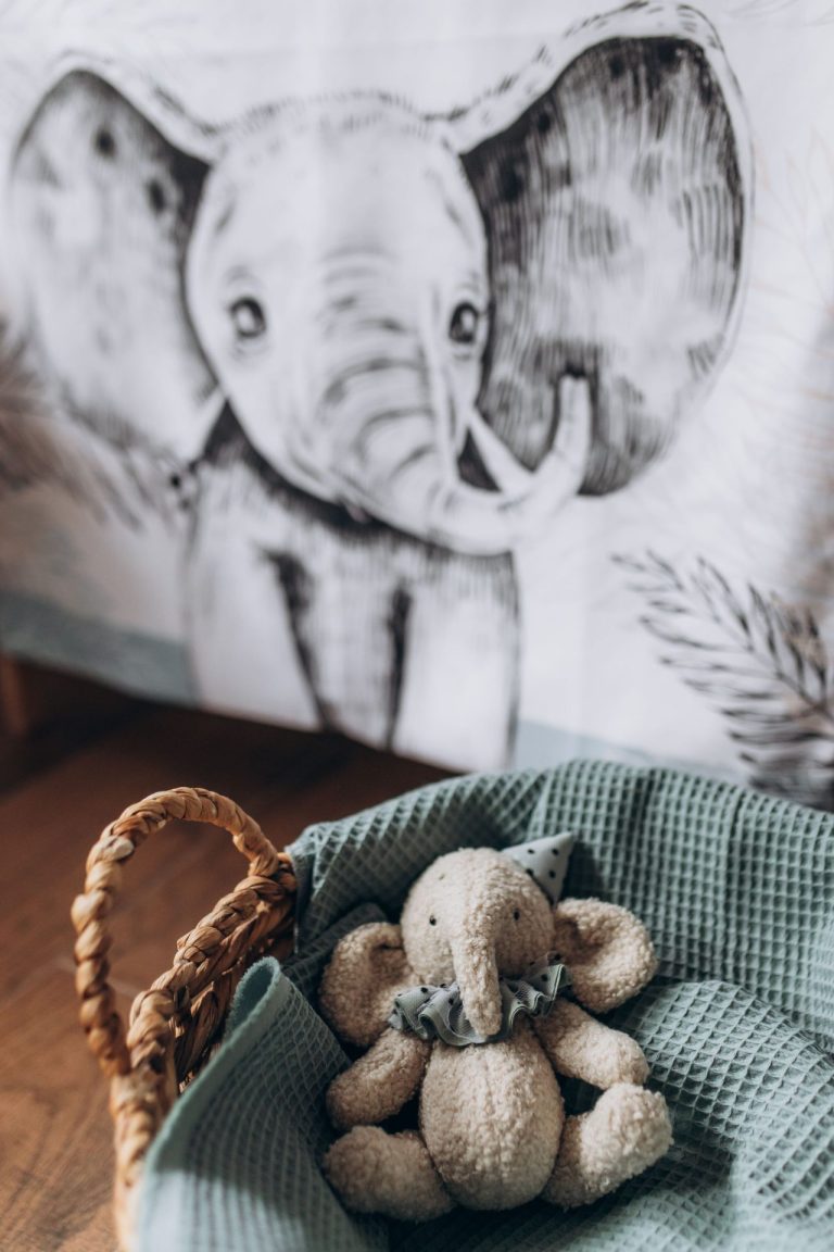 komplet price iz dzungle3